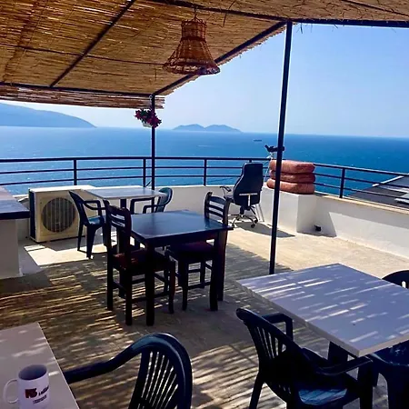 Konukevi Kappa3 Kanine