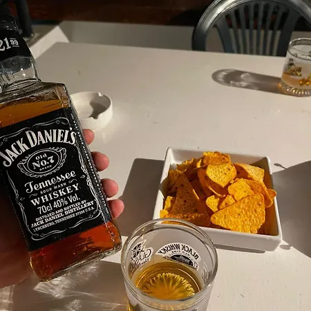 Kappa3 Konukevi Kanine