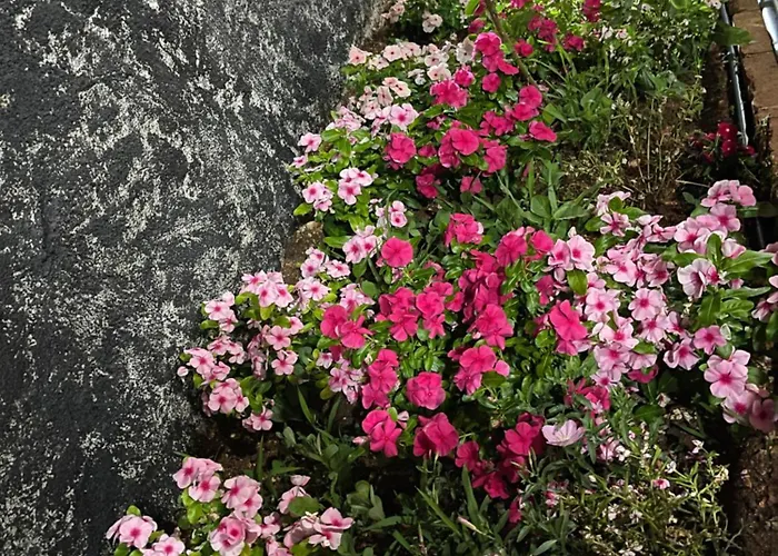 Maison d'hôtes Kappa3 Kanine